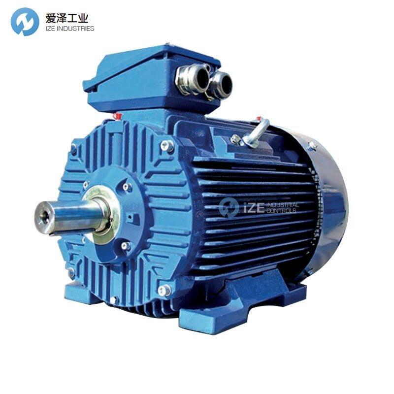 CANTONI電機(jī)3SIEK160M-4