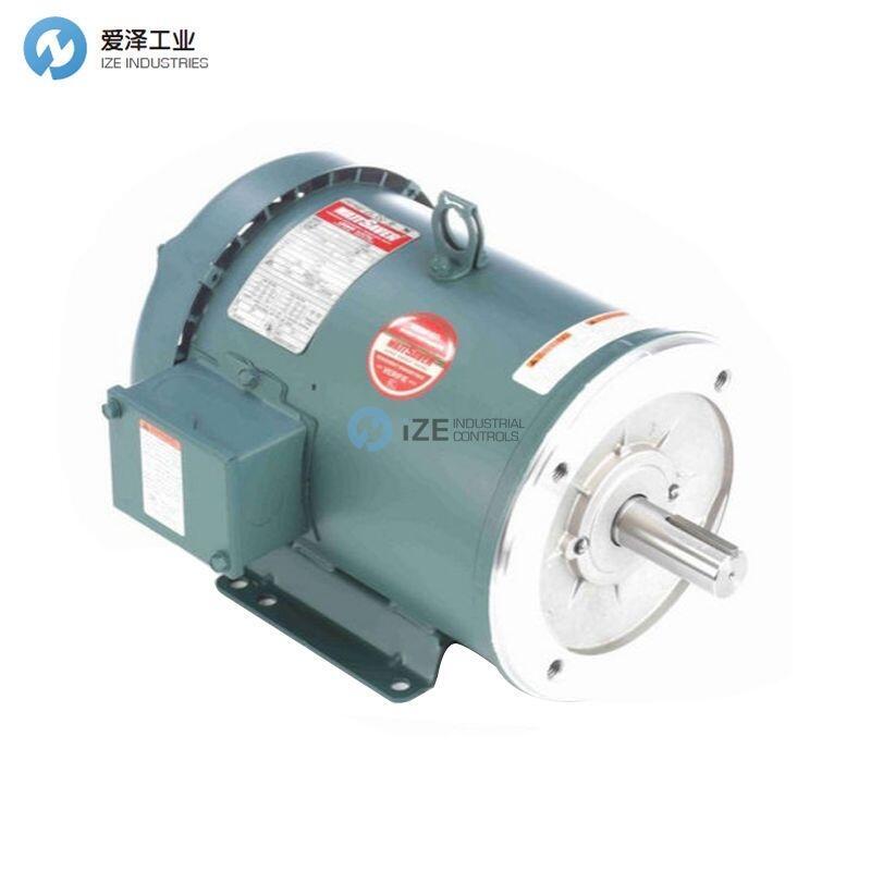 LEESON電機(jī)C182T17FK14 E
