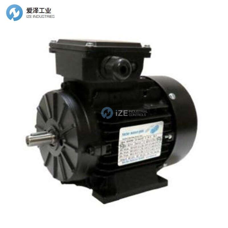BLECHER-MOTOREN電機(jī)SIIG80/4B