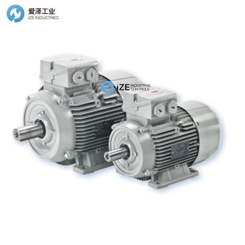 ELEKTRA電機(jī)13AA132MO2-V 1910357