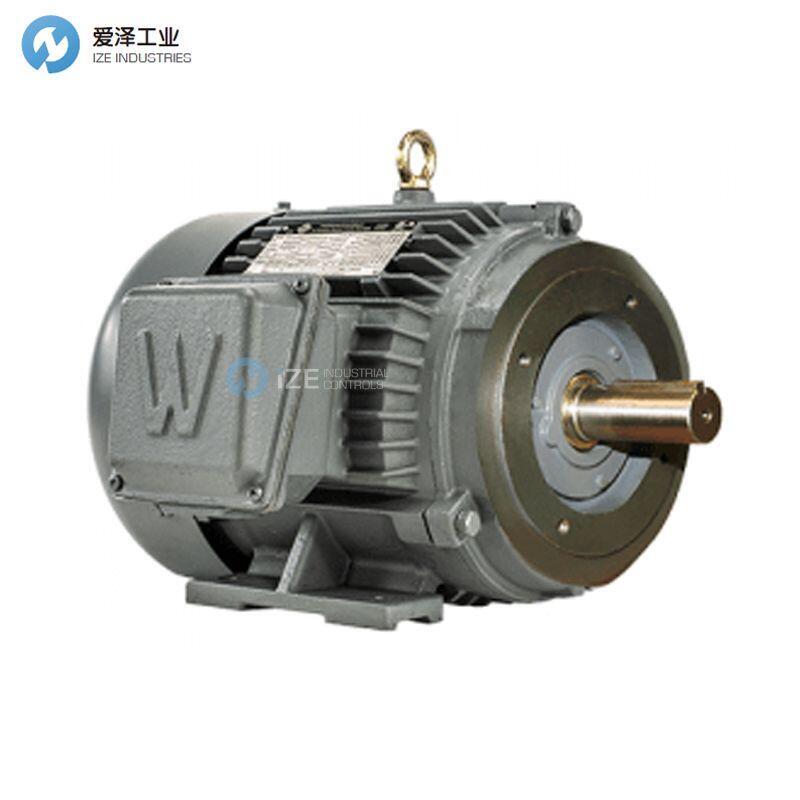 WORLDWIDE ELECTRIC電機(jī)PEWWE20-18-256TC